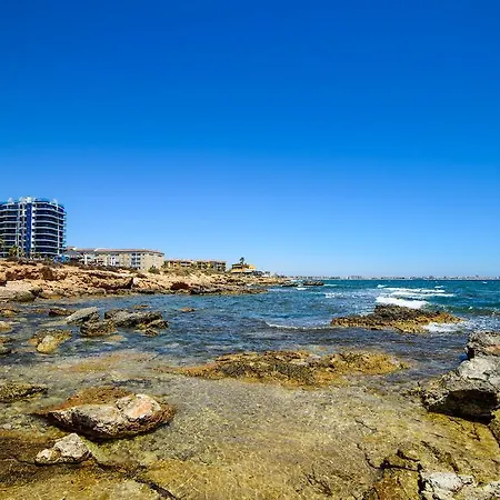 Malva * Torrevieja