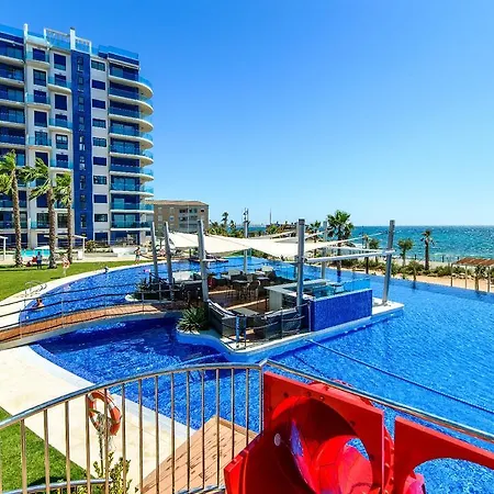 Malva Torrevieja